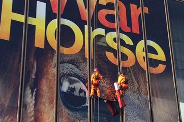 war horse vinyl branding
